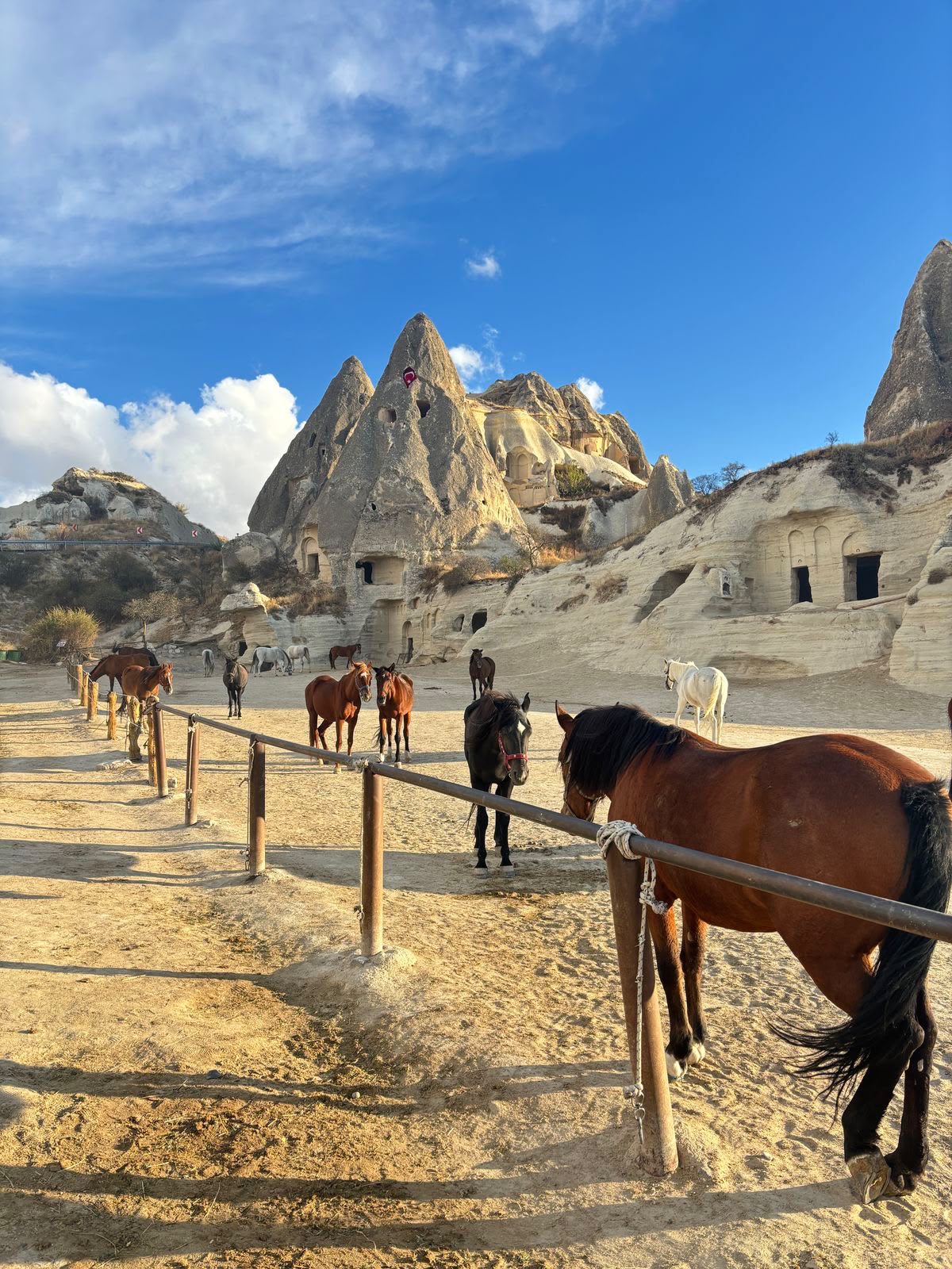 GÜNÜBİRLİK KAPADOKYA TURU Fotoğrafları 